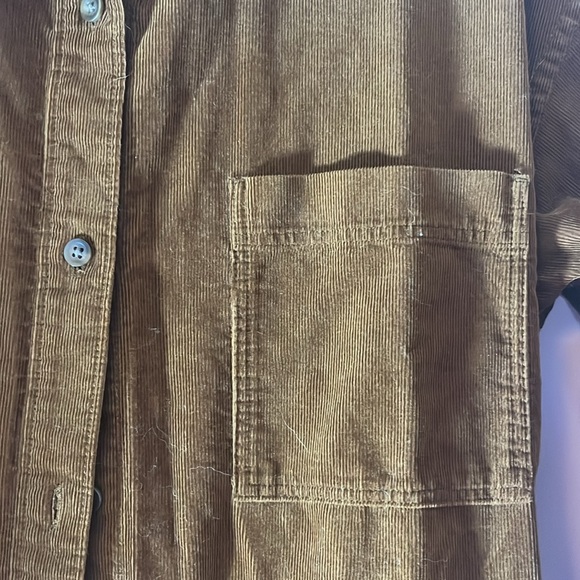 Uniqlo shirt dress. Front button tie waist. 42” long. Long sleeve. Brown - Picture 3 of 5